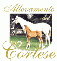 Collaborazionilogo_Del_Cortese_Logo1